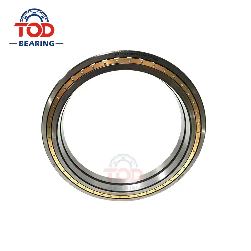 NF5181AMW516RZ67355 Cylindrical roller bearing 
